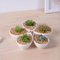 Articles d'ameublement de bureau mini pot de fleur blanc en céramique