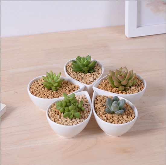 Articles d'ameublement de bureau mini pot de fleur blanc en céramique