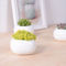 Pot de fleurs en céramique blanc carré miniature créatif