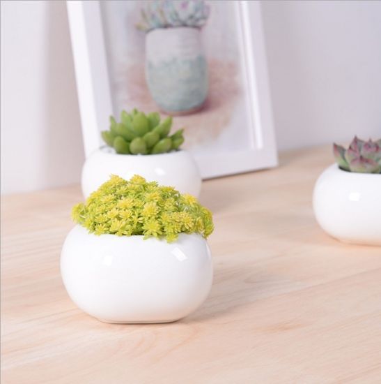 Pot de fleurs en céramique blanc carré miniature créatif
