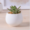 Pot de fleurs combiné triangle en céramique de bureau