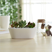 Table basse Type de bureau Pot de fleurs en céramique White Goose