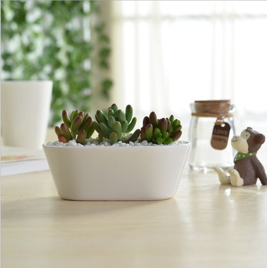 Table basse Type de bureau Pot de fleurs en céramique White Goose