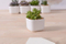 Décoration de bureau créative Mini pot de fleur en céramique blanche