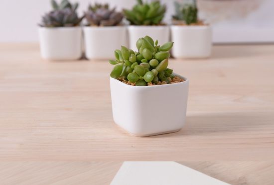 Décoration de bureau créative Mini pot de fleur en céramique blanche