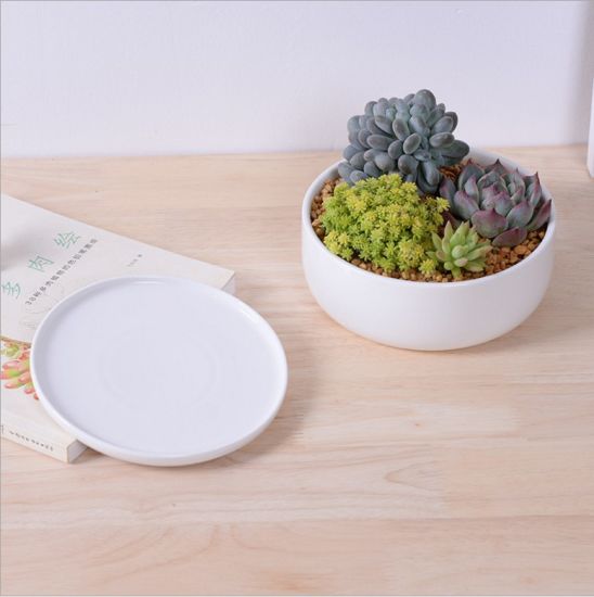 Base circulaire avec grand pot de fleurs en céramique blanche
