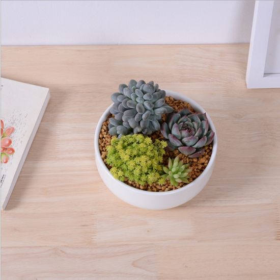 Petit pot de fleurs rond en céramique