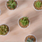 Mini pots de fleurs décoratifs en céramique blanche ronde
