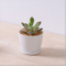 Bureau de loisirs petit vase à fleurs rond en céramique
