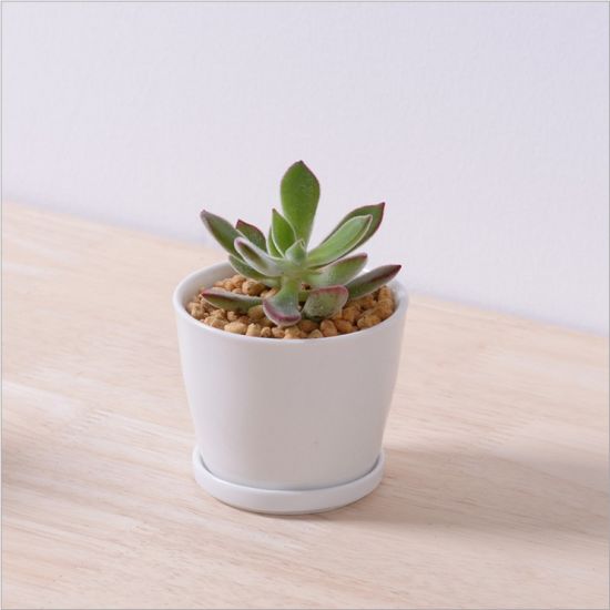 Bureau de loisirs petit vase à fleurs rond en céramique