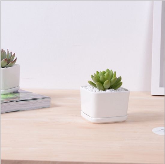 Mini pot blanc triangulaire en céramique de bureau créatif
