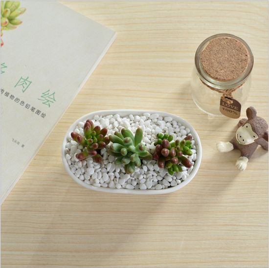 Table basse Type de bureau Pot de fleurs en céramique White Goose
