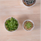 Grand mini pot de fleurs rond en céramique