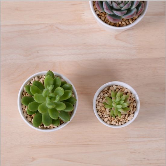 Grand mini pot de fleurs rond en céramique