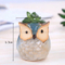 Artisanat artisanal hibou Design petit pot de plantes succulentes en céramique