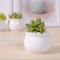 Petit pot de fleurs rond en céramique