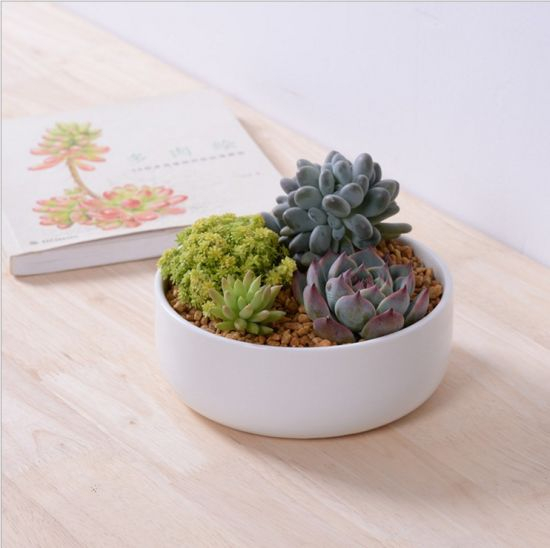 Petit pot de fleurs rond en céramique