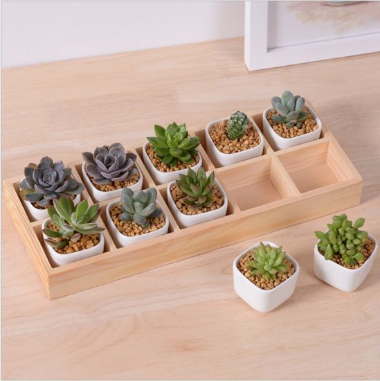 Bureau de loisirs avec 5 pots en céramique à base de treillis