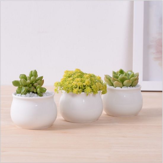 Pot de fleur carré blanc contenant une base