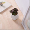 Articles d'ameublement de bureau mini pot de fleur blanc en céramique