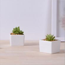 Pot de fleurs carré blanc en céramique de mode créative