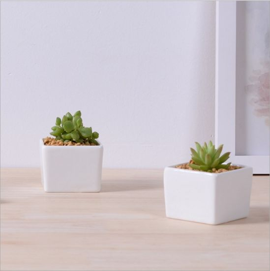 Pot de fleurs carré blanc en céramique de mode créative