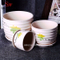 Feuille Patten Design Plant Pots De Fleurs Soucoupes Attachées Pots En Céramique