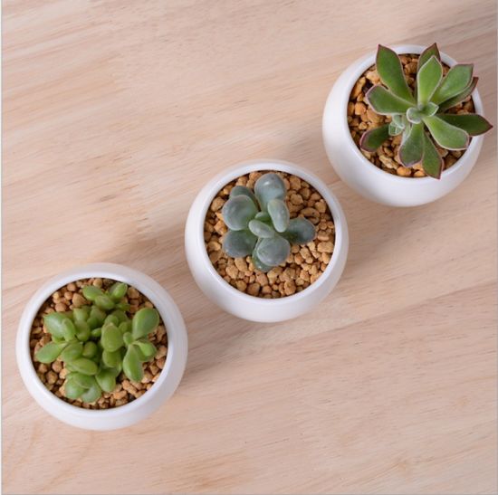 Pot de fleurs combiné triangle en céramique de bureau
