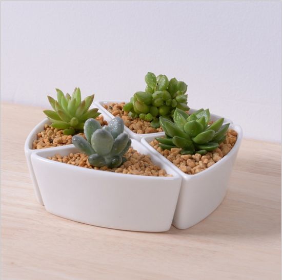 Pot de fleurs combiné triangle en céramique de bureau