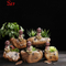 Jardins de conteneurs de pot de fleurs succulentes petit bouddha mignon