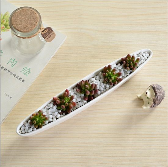 Boîte de 5 treillis avec pot de fleur en céramique blanche