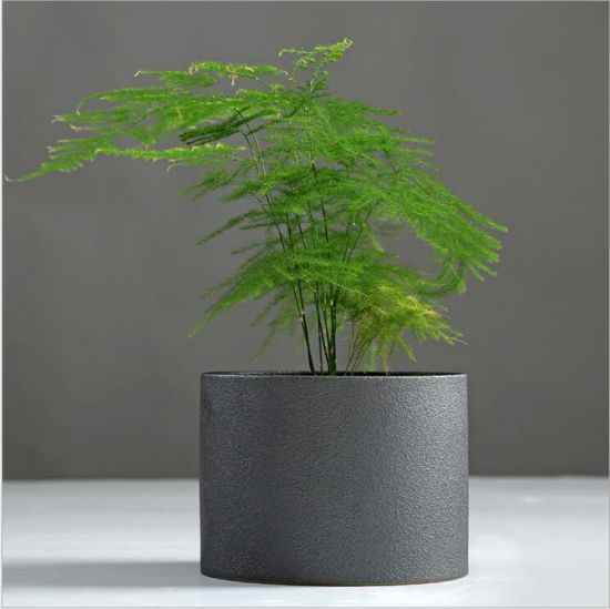 Vases en céramique de porcelaine, bouteille de fleuret noir en céramique