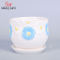Pot de fleurs de jardinière à soucoupe design marguerite blanche et bleue géante