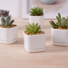 Pot de fleurs à base de porcelaine blanche en céramique de mode de personnalité