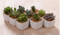 Décoration de bureau créative Mini pot de fleur en céramique blanche