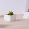 Base circulaire avec grand pot de fleurs en céramique blanche