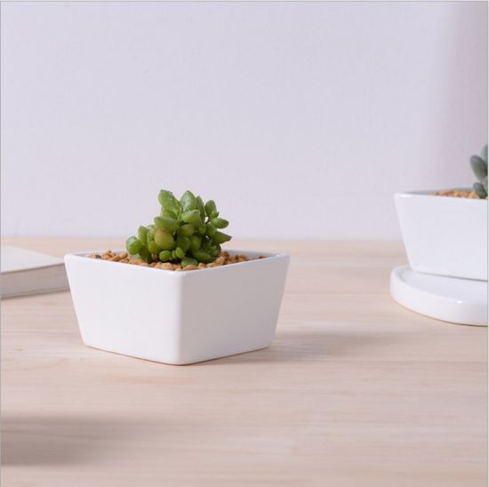 Base circulaire avec grand pot de fleurs en céramique blanche