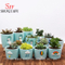 Pot de fleurs en céramique pour petites plantes succulentes cactus (arc-en-ciel)