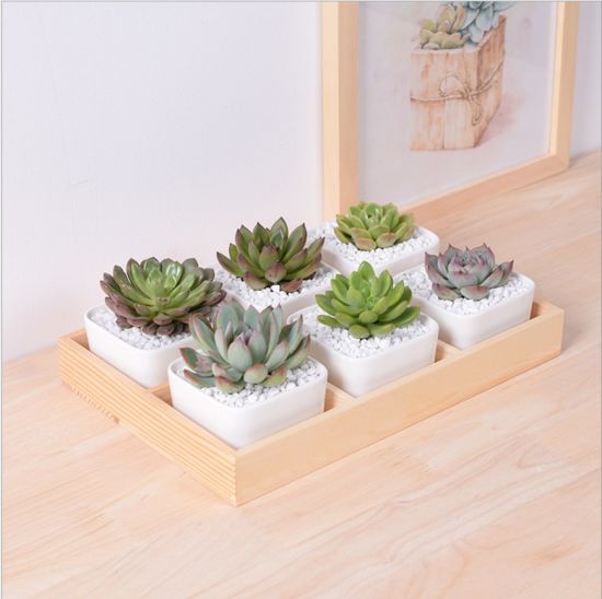 Bureau de loisirs avec 5 pots en céramique à base de treillis
