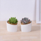 Parure Personnalité Caractéristique Bureau Petit Pot De Fleurs Blanches