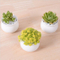 Caractéristiques décoratives Pot de fleur blanc en forme de coeur en forme de pêche