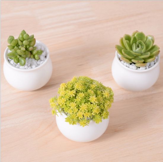 Caractéristiques décoratives Pot de fleur blanc en forme de coeur en forme de pêche
