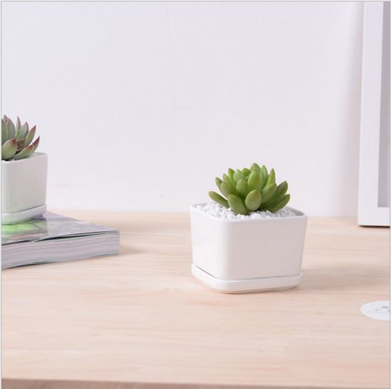 Pot de fleur carré blanc contenant une base