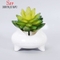 Pot de fleurs succulentes rondes en céramique blanche