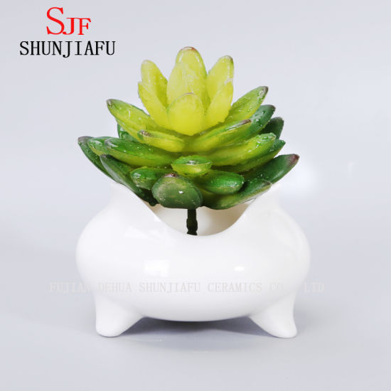 Pot de fleurs succulentes rondes en céramique blanche