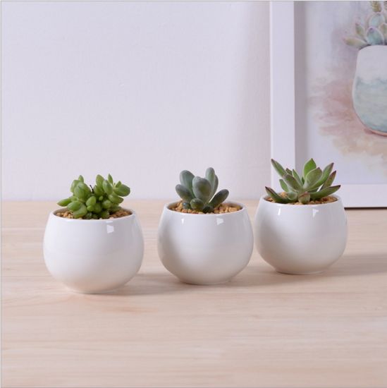 Pot de fleurs combiné triangle en céramique de bureau