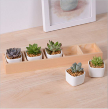 Boîte de 5 treillis avec pot de fleur en céramique blanche