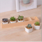 Boîte de 5 treillis avec pot de fleur en céramique blanche