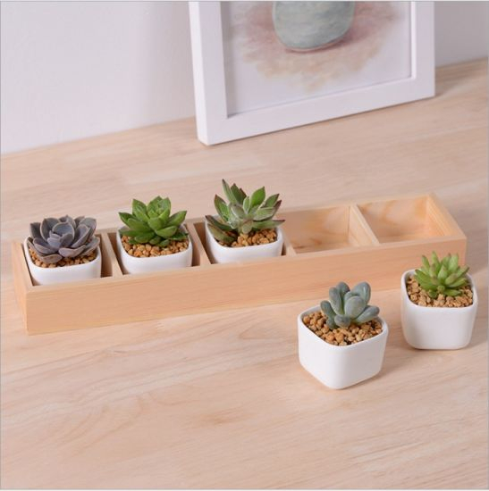 Boîte de 5 treillis avec pot de fleur en céramique blanche