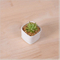 Pot de fleurs à base de porcelaine blanche en céramique de mode de personnalité